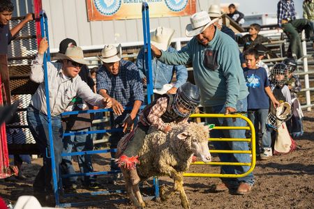 Sheep rider, Teagan Calf Boss Ribs (6) competes in mutton busting.  Riders are timed, the objective is the stay on the sheep.